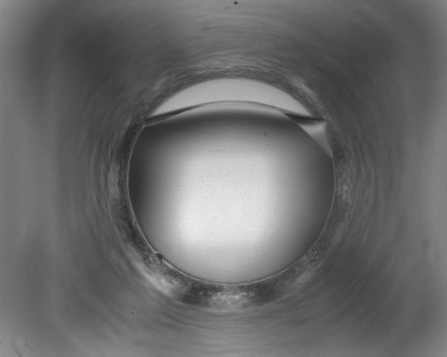 X0000080710213200701021037