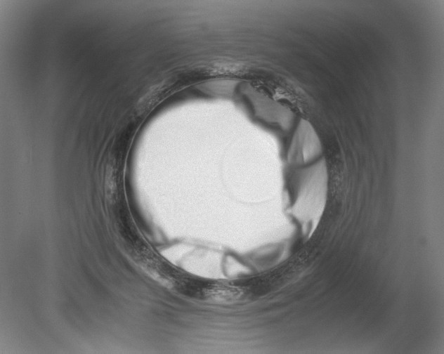 X0000080710215200701021037