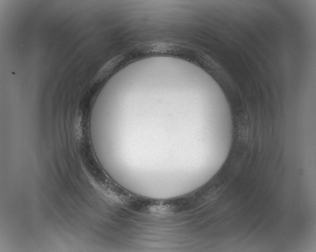 X0000080710216200701021037