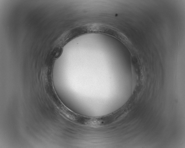 X0000080710217200701021037