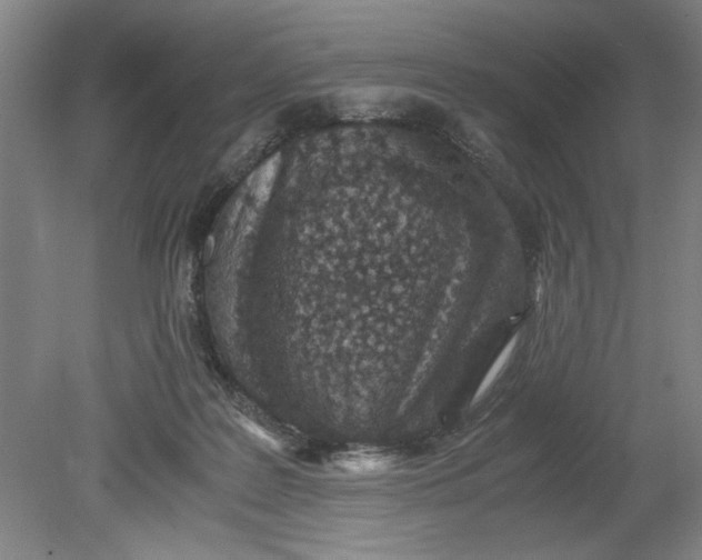 X0000080710219200701021037