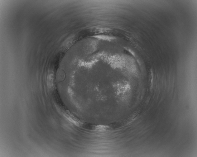 X0000080710222200701021037