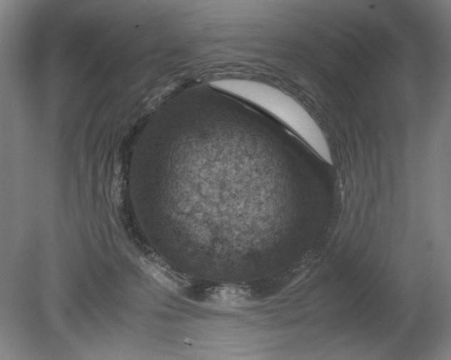 X0000080710223200701021036