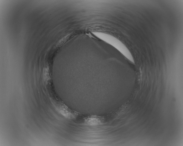 X0000080710224200701021036