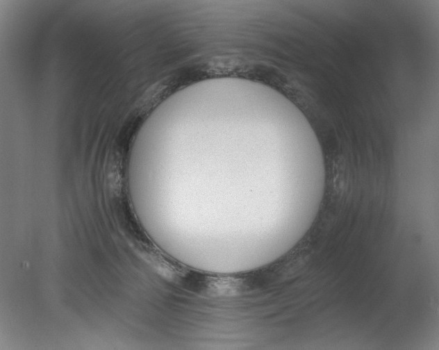 X0000080710226200701021036