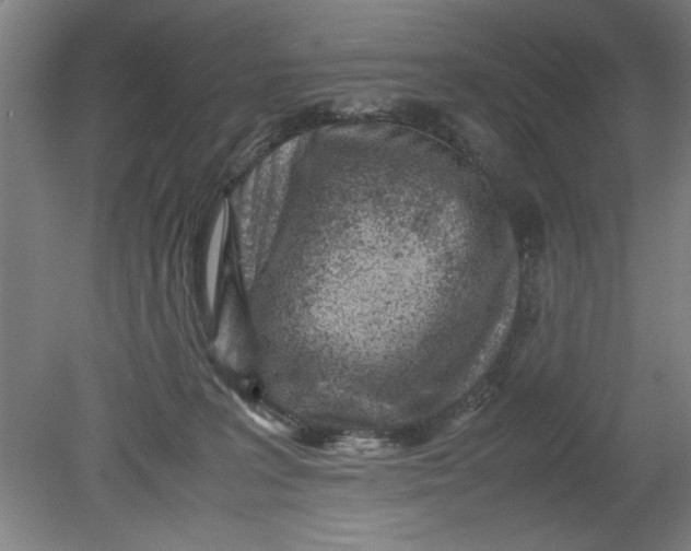 X0000080710227200701021036