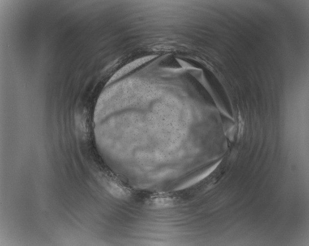 X0000080710228200701021036