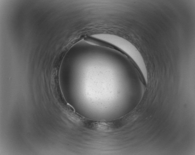 X0000080710229200701021036