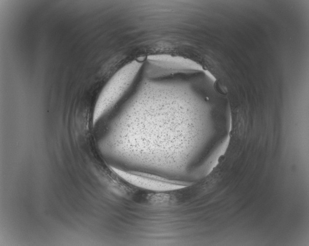 X0000080710230200701021036