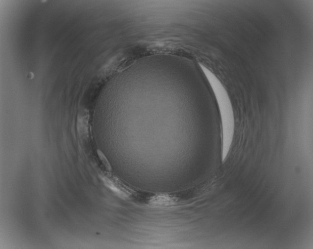 X0000080710231200701021036