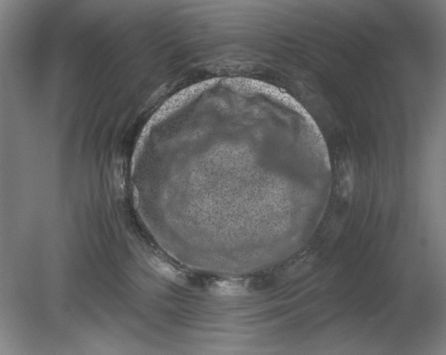 X0000080710232200701021036