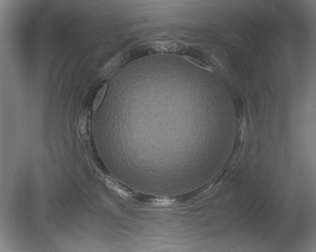 X0000080710233200701021036