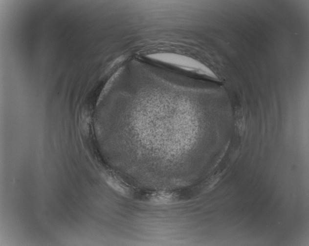 X0000080710235200701021036