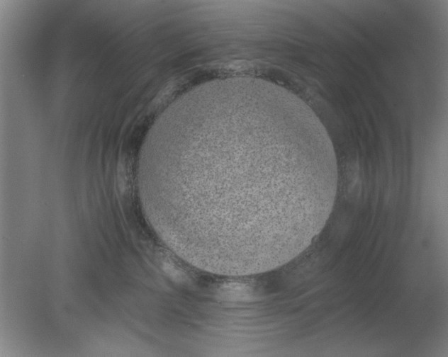 X0000080710236200701021036