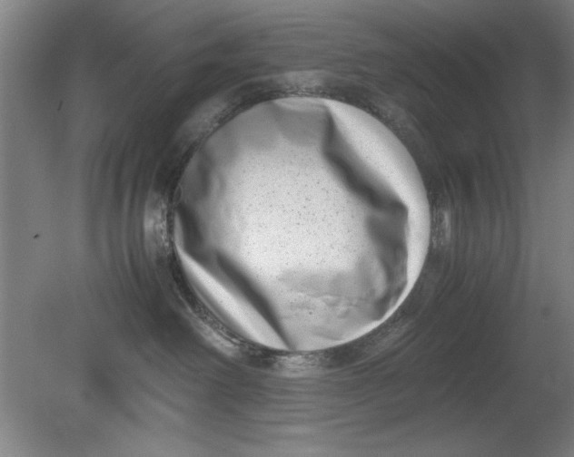 X0000080710238200701021036