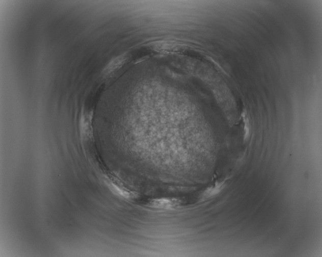 X0000080710239200701021036