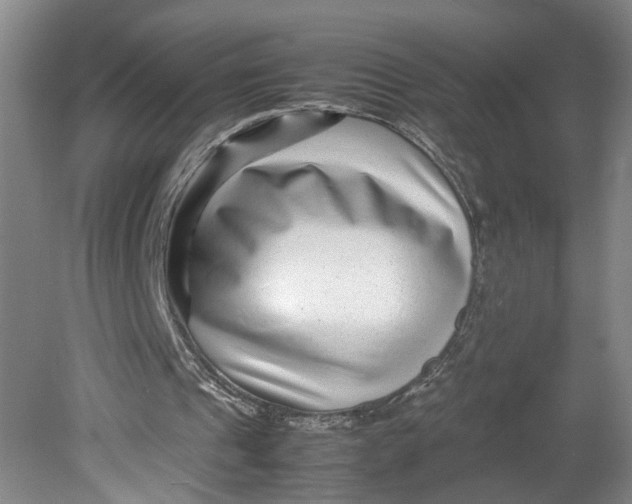 X0000080710241200701021035