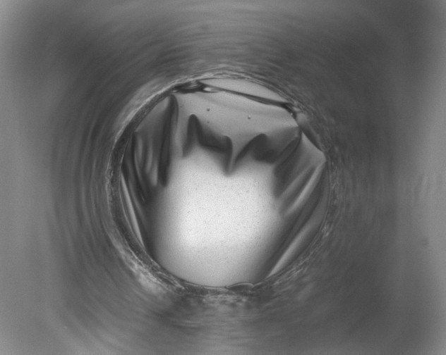 X0000080710242200701021035