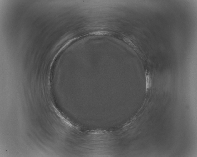 X0000080710243200701021035