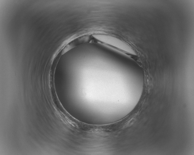 X0000080710244200701021035