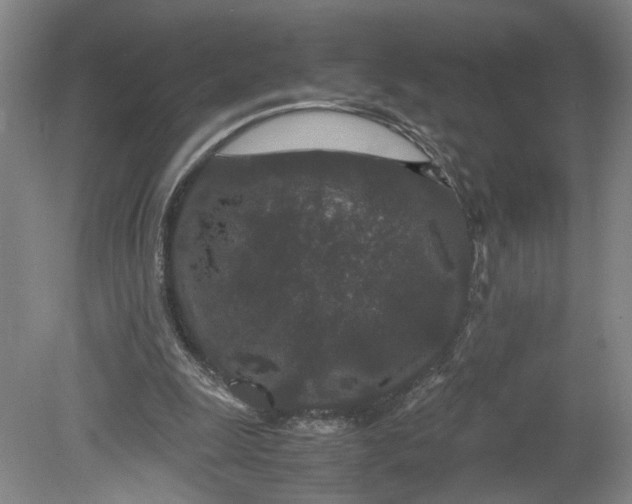 X0000080710247200701021036