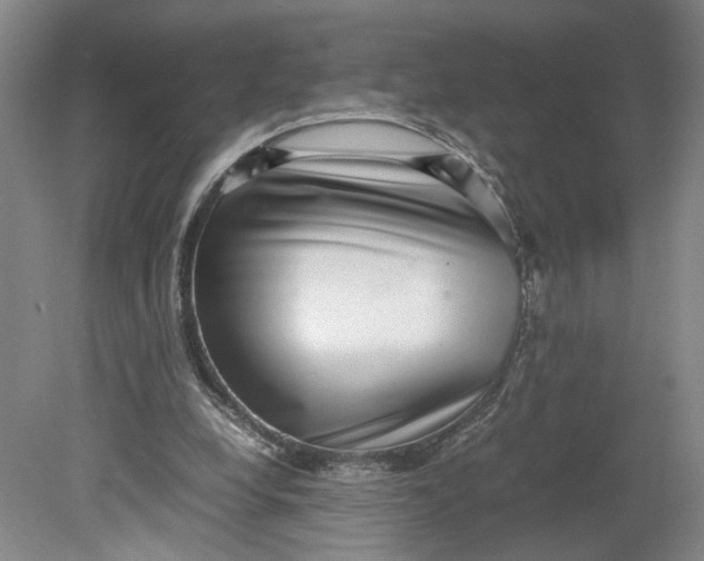 X0000080710248200701021036