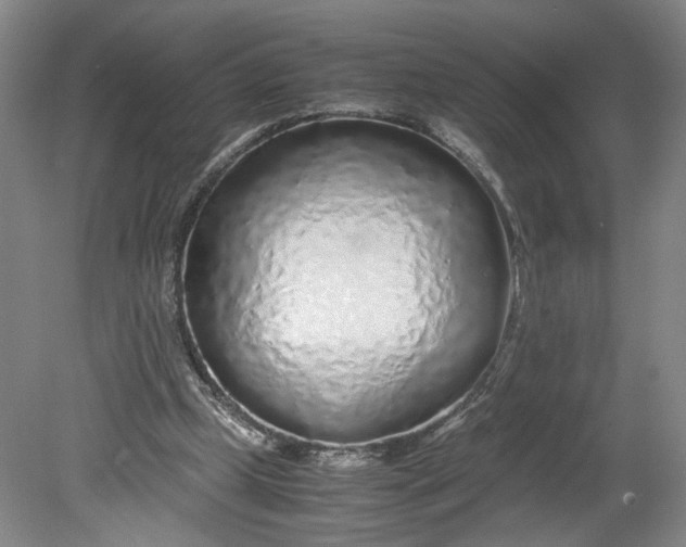 X0000080710249200701021036