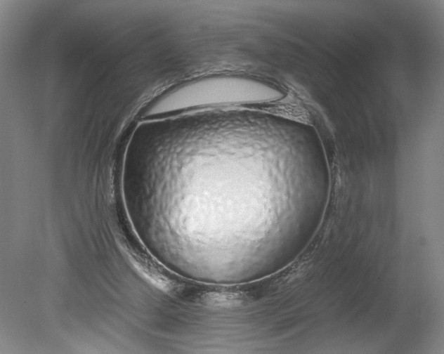 X0000080710250200701021036