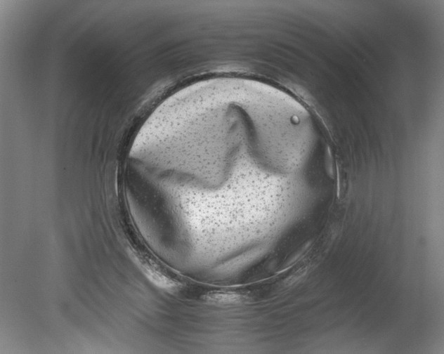 X0000080710253200701021036