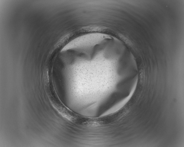 X0000080710254200701021036