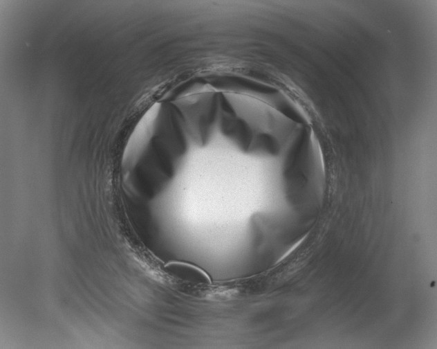 X0000080710257200701021036