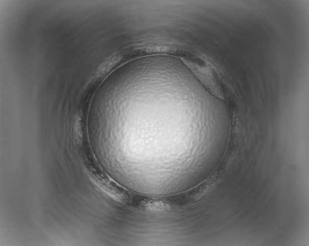 X0000080710258200701021036