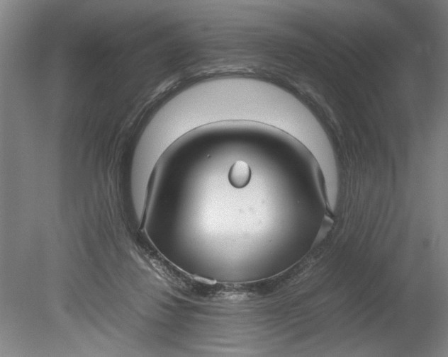 X0000080710260200701021036