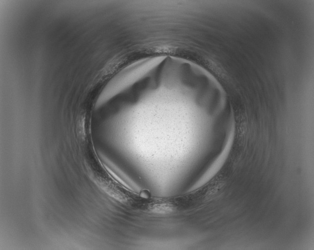 X0000080710262200701021036