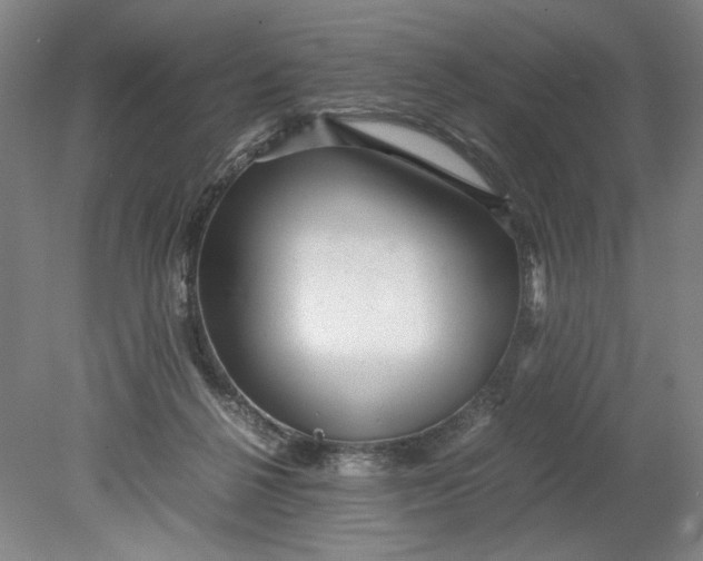 X0000080710264200701021036