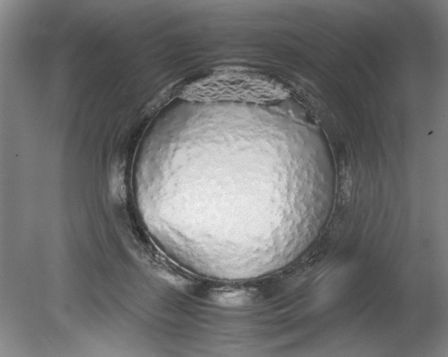 X0000080710267200701021036