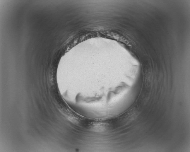 X0000080710268200701021036