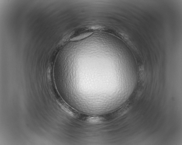 X0000080710269200701021036