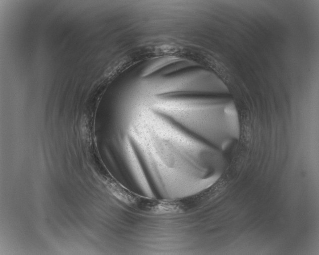 X0000080710270200701021036