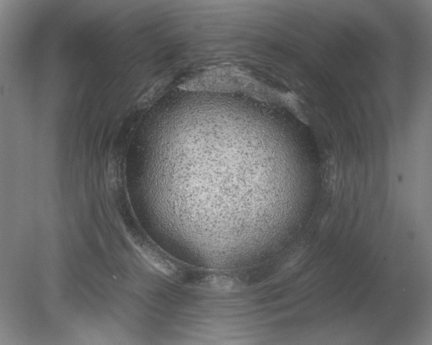 X0000080710272200701021036