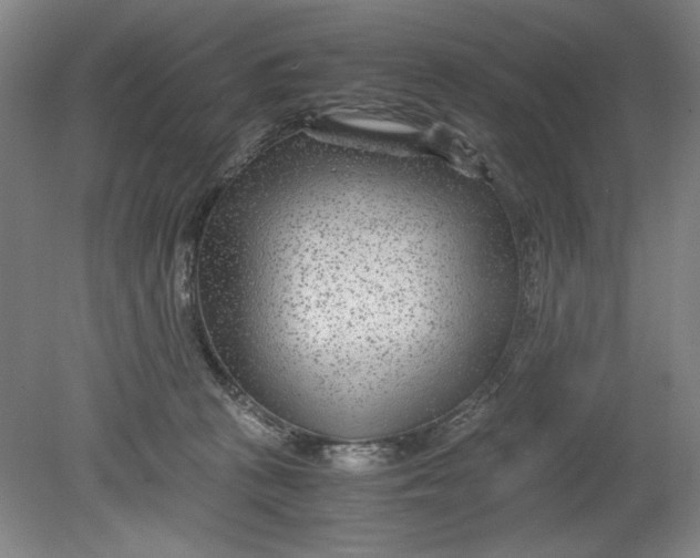 X0000080710273200701021036