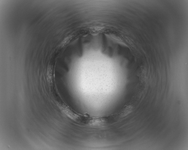 X0000080710274200701021036