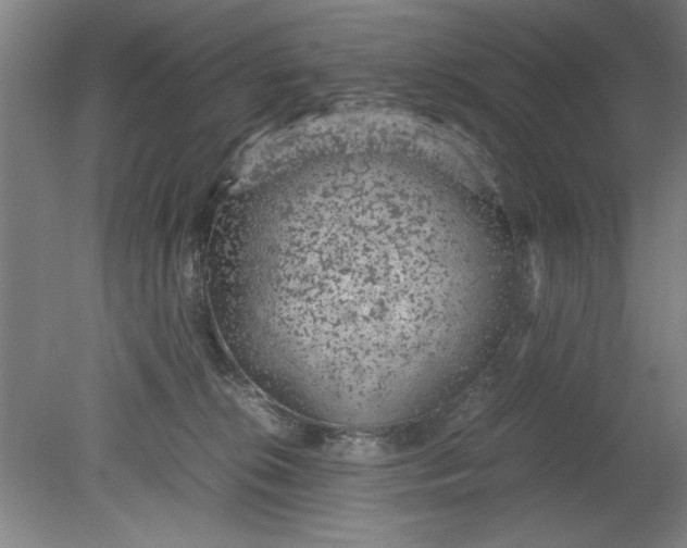 X0000080710276200701021036