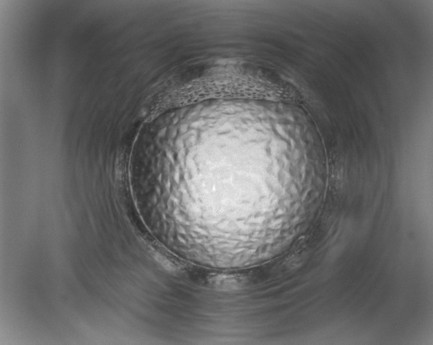 X0000080710277200701021036