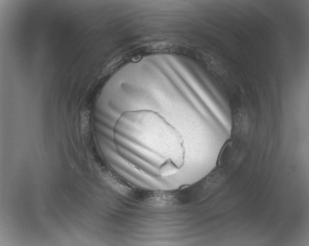 X0000080710278200701021036