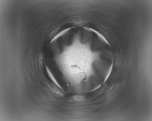 X0000080710279200701021036