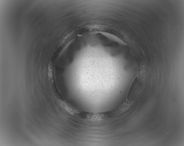 X0000080710282200701021036