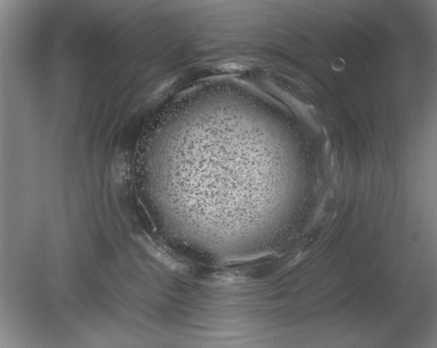 X0000080710284200701021036