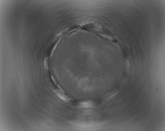 X0000080710286200701021036