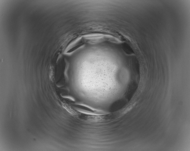 X0000080710288200701021036